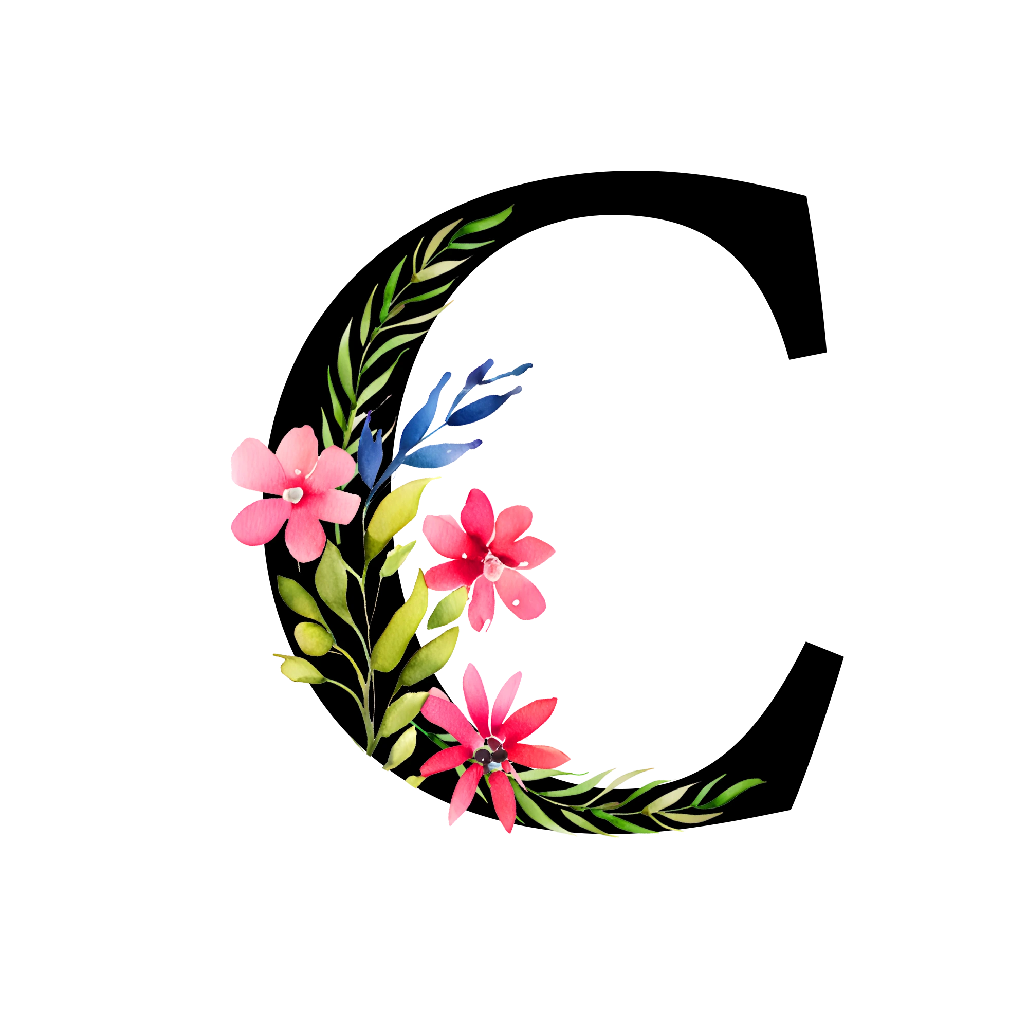 Free-Transparent-Floral-Alphabet-Illustration-letter-C.webp